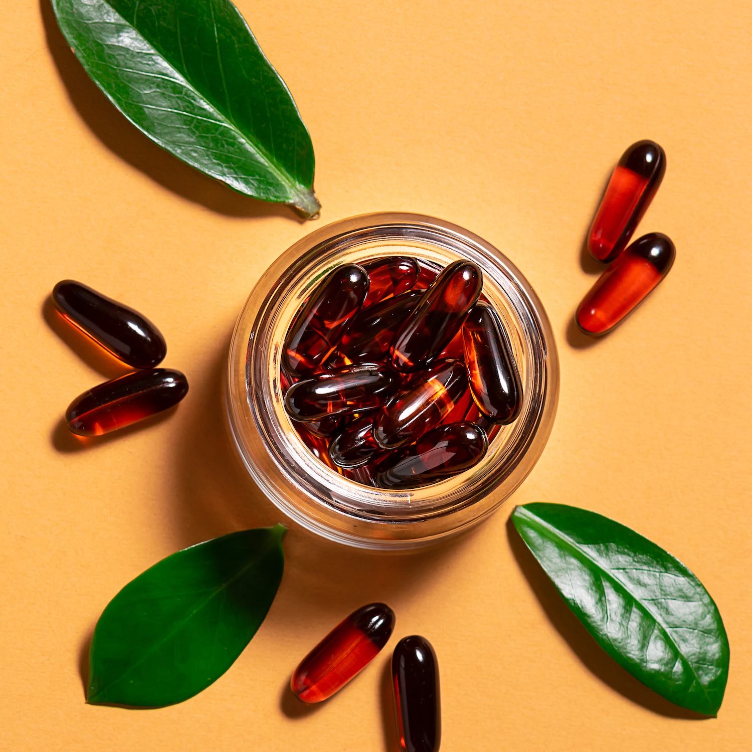 Micronutrition Pharmacie Nouzonnaise